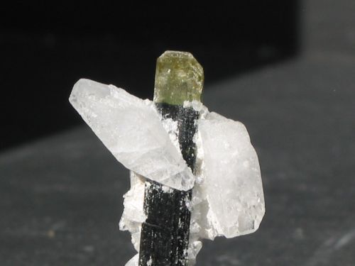 GREEN CAPS avec quartz