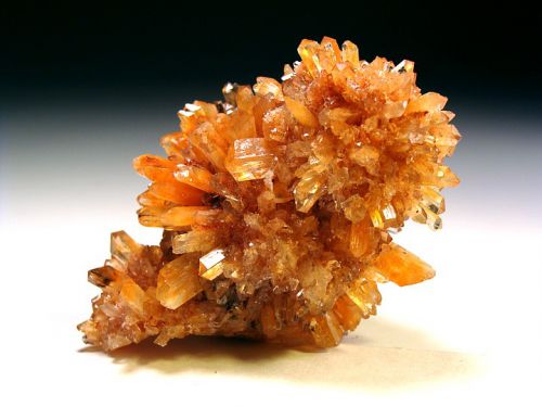 creedite