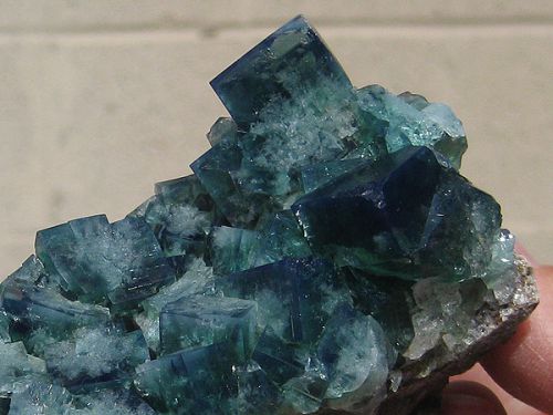 fluorite verte vilolette . 