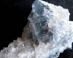 fluorine bleue