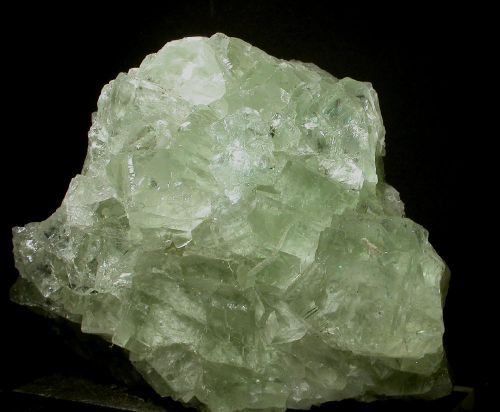 florite verte 