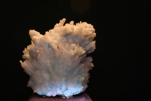 aragonite 