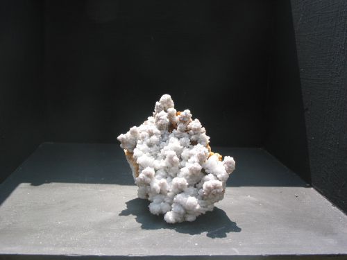 aragonite 