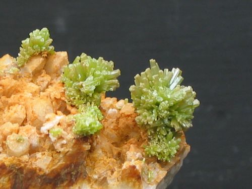 fleur de pyromorphite