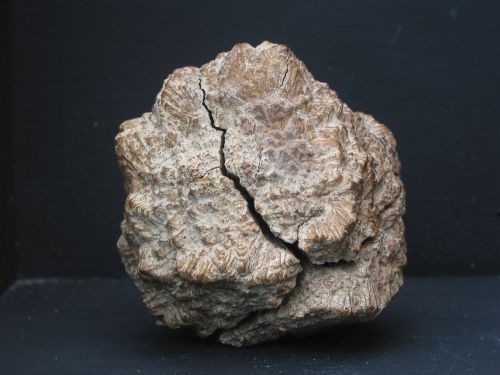  marcassite