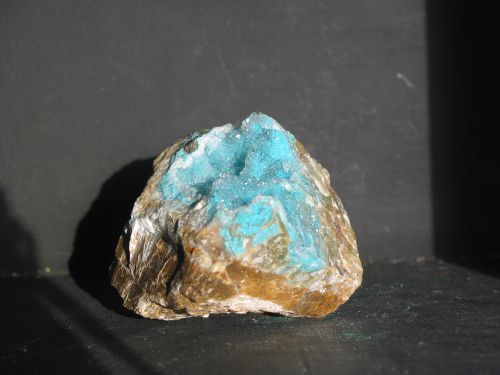 chrysocolle