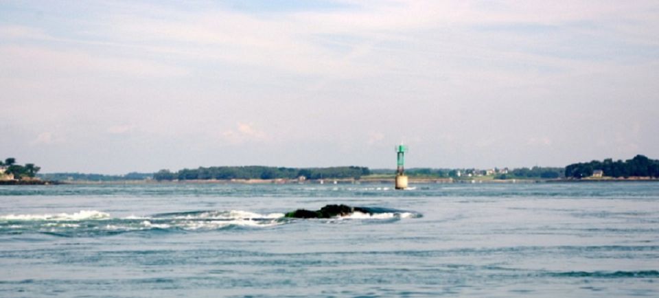 Pêcheur de dorades et de bars dans le Golfe du Morbihan