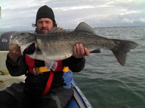 Stelep en novembre 2011 sur les îles du Ponant