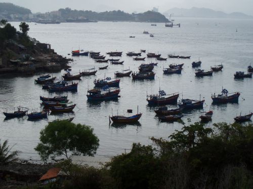 Bateaux au lamparo au mouillage de jour...