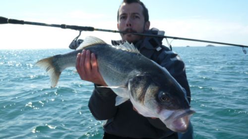 Session avec Ludo avec son nouveau SR. Lunker de 74 en vadrouille en ce début de saison.