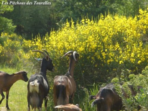 Marguerite et Zoé devant un bon repas !