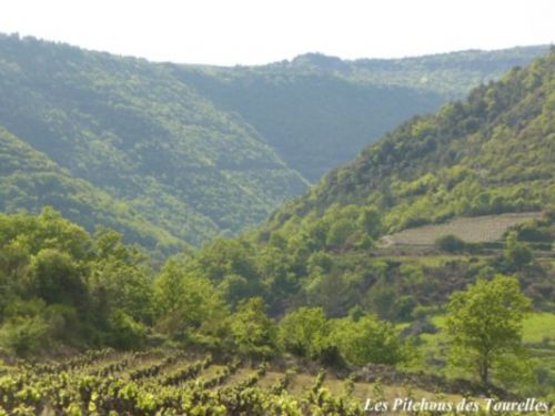 Le fond de vallée St Pierre, une oasis de fraîcheur l'été