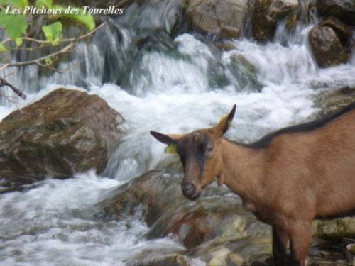 Un joli portrait devant une eau limpide d'avril