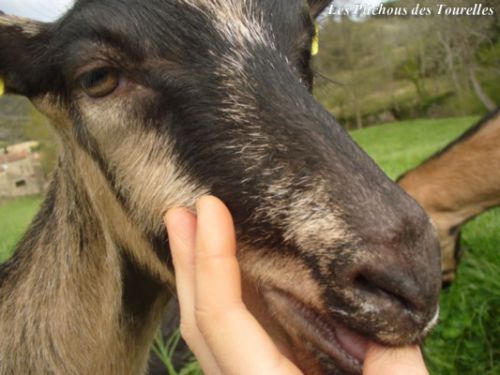 Bébé qui prend délicatement mon doigt dans sa bouche