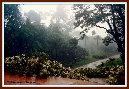 Sous la pluie en Martinique