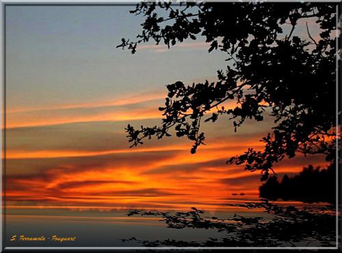 Coucher de soleil landais