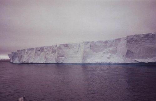 les icebergs de la Mer de Weddell