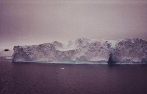nous naviguons  longtemps parmi les icebergs