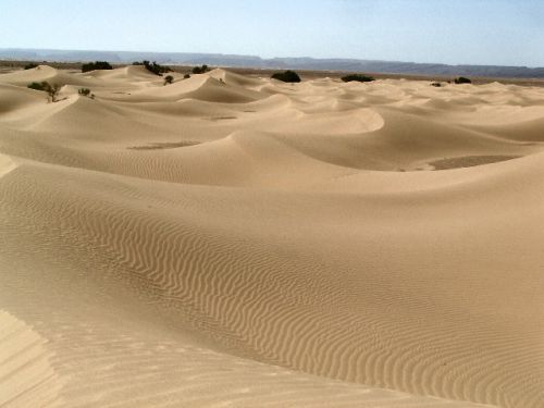 Dunes à Mhamid