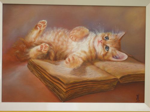 Chat roux couché sur le vieux livre