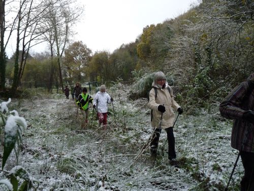 marche nordique sous la neige