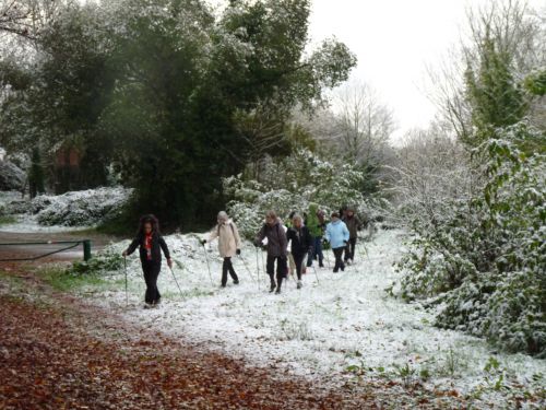 marche nordique sous la neige