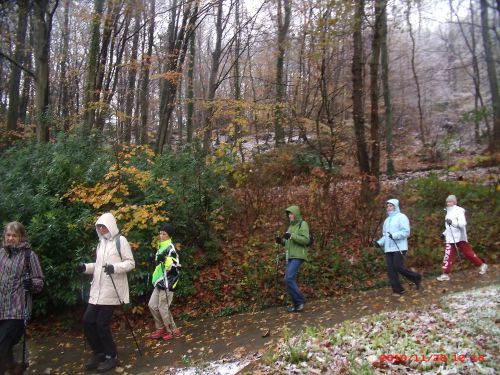 marche nordique dans la neige