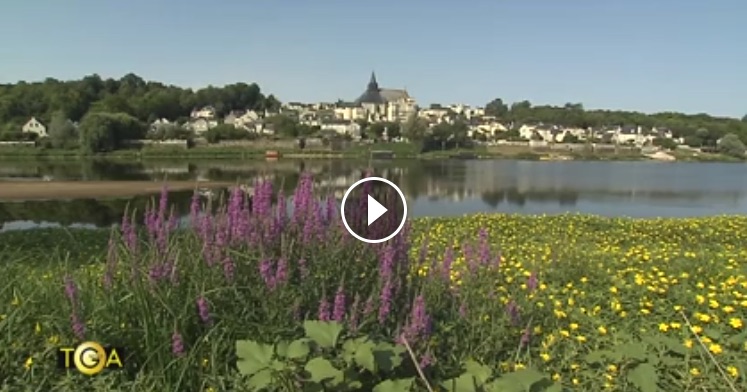 Loire.jpg