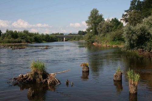 La biodiversité dans le courant de Loire