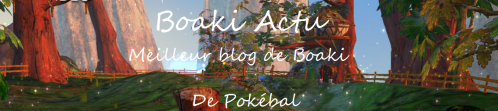 Logo Boaki Actu V2.1.png