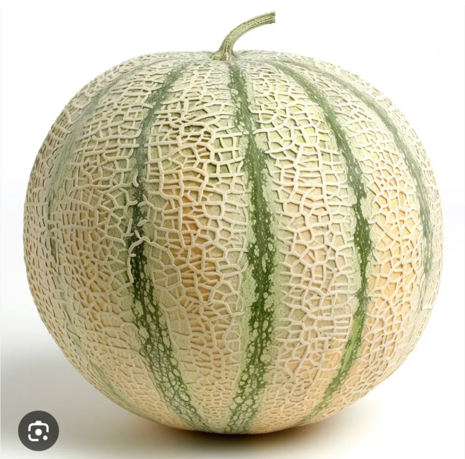 Screenshot_20250403_113655_Google