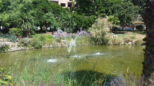 jardin de la gare