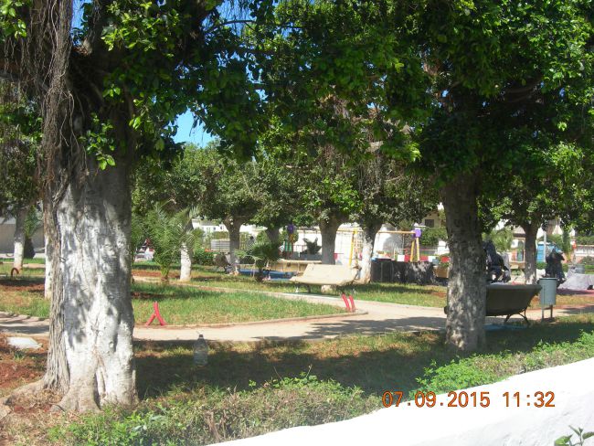 jardin de la mosque rédouane