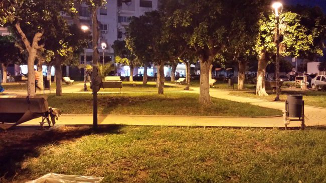 jardin de la mosquée rédouane la nuit