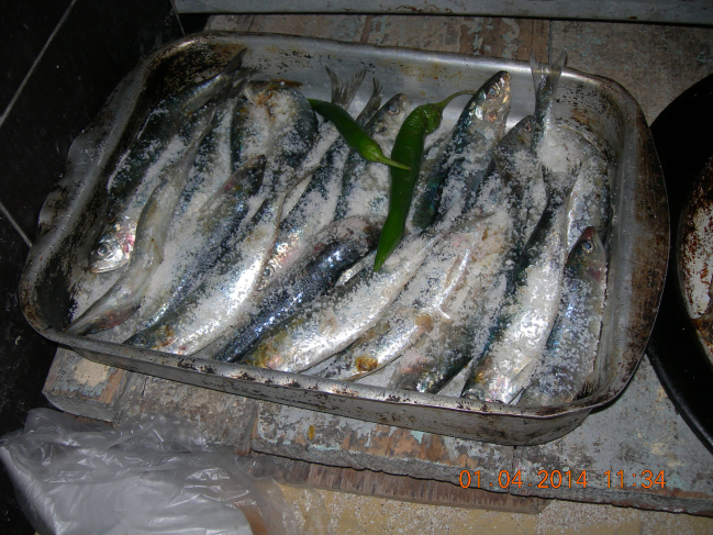 un plat de sardines