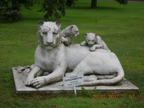 la lionne dans le jardin du palais de dolmabaché