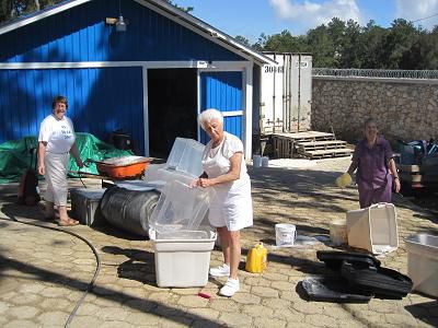 Elles lavent des bacs - They wash bins