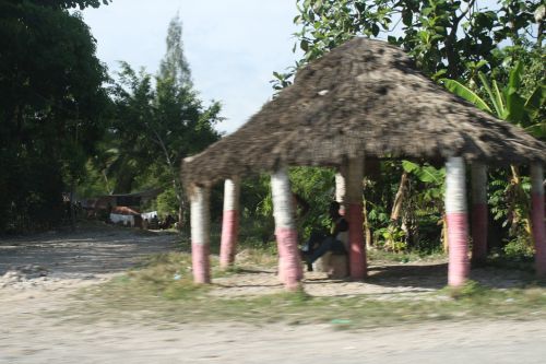 Une demi-hutte aux couleurs du Président Martelly - A half hut with the colors of President Martelly