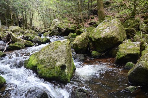 Saut du Géhard