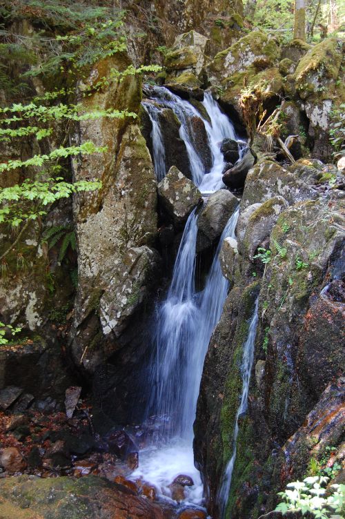 Saut de la truite