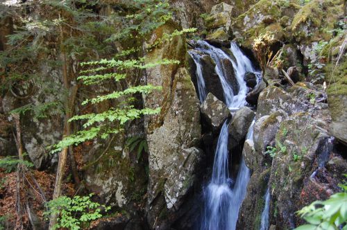 Saut de la truite