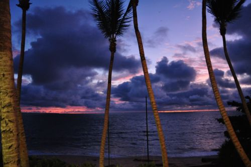 Coucher de soleil - rose/bleu