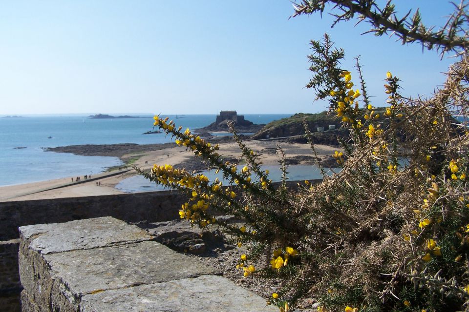 Découverte de SAINT -MALO