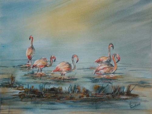 Flamants roses - aquarelle (24 x 32 cm)