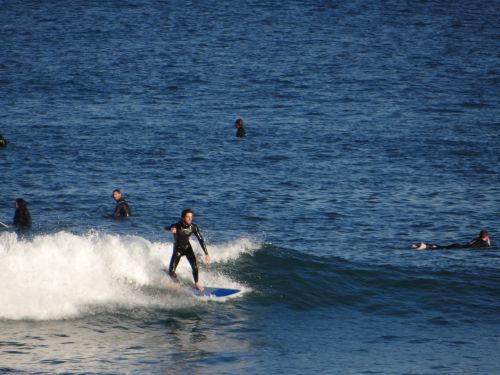 Bondi surfers !