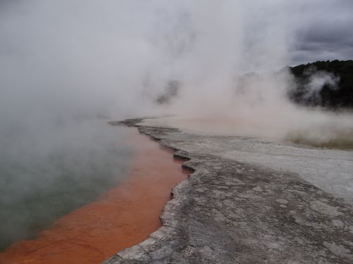 Champagne pool