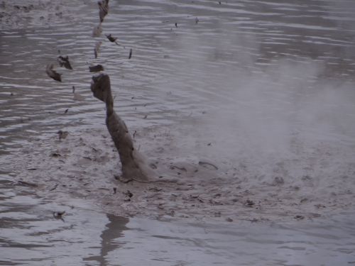 MUD pool