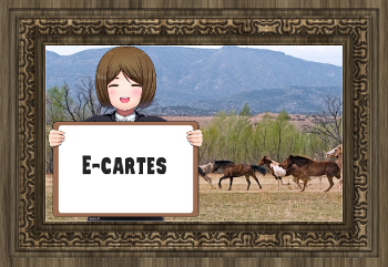 https://static.blog4ever.com/2010/09/437182/2ecartes.png?rev=1698242650