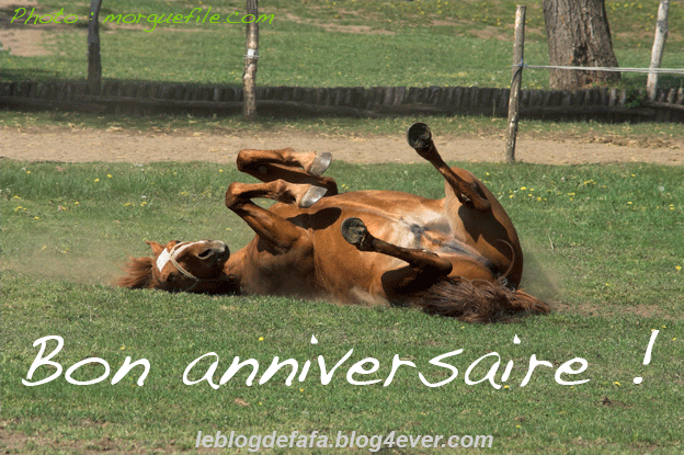 E Carte E Cadeau Gratuits Bon Anniversaire Cheval Sur Le Dos Le Blog Des Fans De Poneys Et De Chevaux