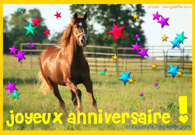 anniversaire chevaux